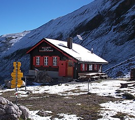 山,雪,景觀