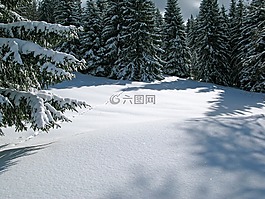 法國,冬天,雪