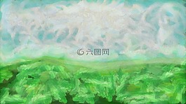 景觀,現(xiàn)場,景區(qū)