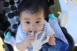寶貝,可愛,長頸鹿