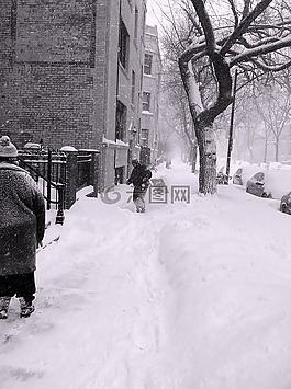 芝加哥,伊利諾伊州,城市