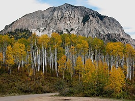 科羅拉多州,白楊,山