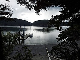 岛,水,海