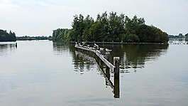 休息的地方,海鸥,着陆