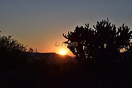 下午,日落,太陽(yáng)