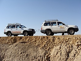 吉普車,車輛,車