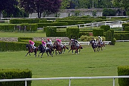 賽馬,馬場,競爭