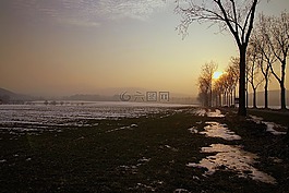 日落,冬季,雪