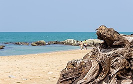 海灘,海,海洋