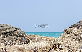 海灘,海,海洋