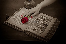 祈禱書,玫瑰,紅玫瑰