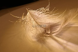 春天,略,白
