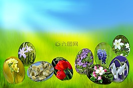 復活節(jié),雞蛋,春天