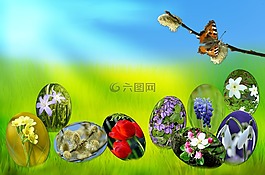 復(fù)活節(jié),雞蛋,春天