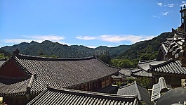 寺,寶塔,佛