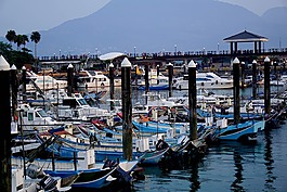 海港,船,端口