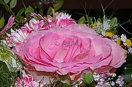 玫瑰,花束,鮮花