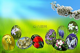 復(fù)活節(jié),雞蛋,春天