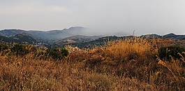 西西里島,在下大雨前,草