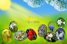 復(fù)活節(jié),雞蛋,春天