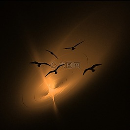 鳥,黑暗,光