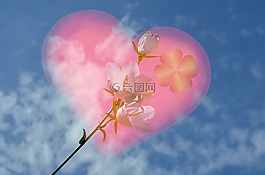 心臟,花,愛