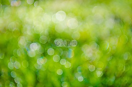 綠色,背景,抽象