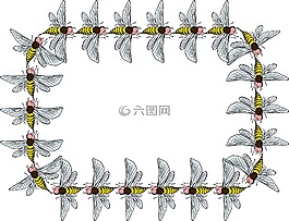 bug,昆蟲(chóng),蜜蜂