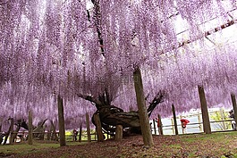 日本,福岡,kytakyushyu