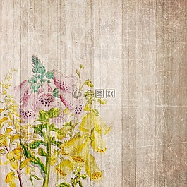 背景,剪貼簿,紙