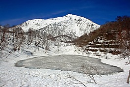 日本,景觀,冬天