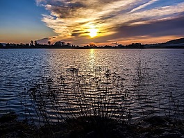 景觀,池塘,黃昏