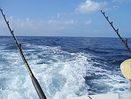 钓鱼,深海捕鱼,夏威夷