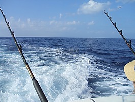 釣魚,深海捕魚,夏威夷