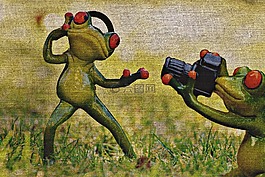 青蛙,攝影師,組織
