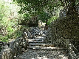 路徑,石頭,徒步旅行
