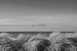 海,夏季,景觀