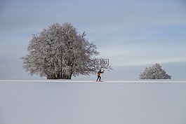 越野滑雪,冬天,景觀