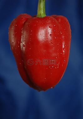 辣椒,水果,蔬菜