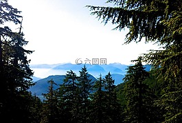 全景圖,山,伍茲