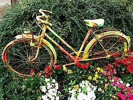 鮮花,自行車(chē),花壇