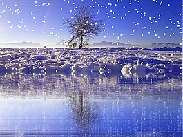 冬天,雪,降雪
