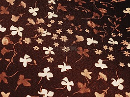 花,白,棕色