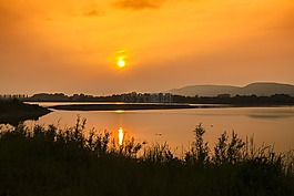 景觀,池塘,黃昏