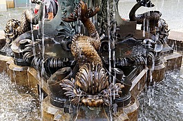 噴泉,魚,水