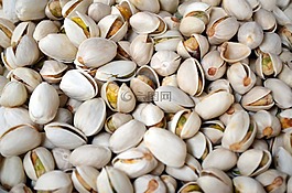 食品,季節(jié),作物