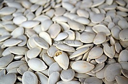 食品,季節(jié),南瓜