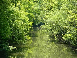 河,性質(zhì),水