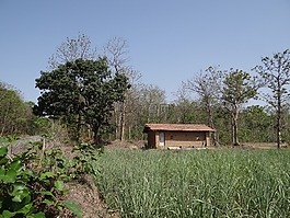 農(nóng)場小屋,公路,路