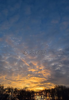 日落,景觀,樹(shù)